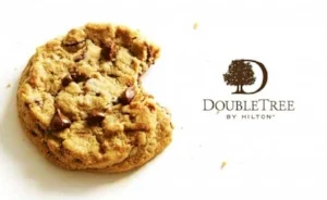 Chocolate chip cookie, you really do understand me.