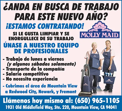molly-maid-1-6 pAG DICIEMBRE 2017.jpg