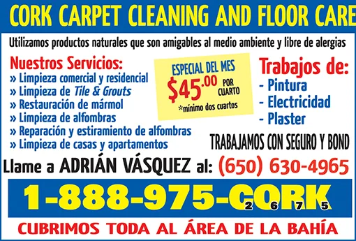 CORK Carpet Cleaning 1-8 Pag - febrero 2019 copy.jpg