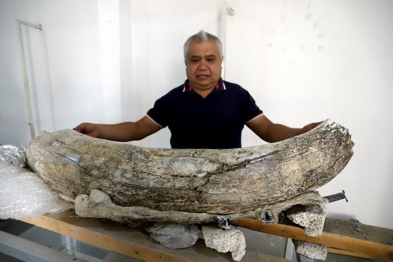 fossil.jpg