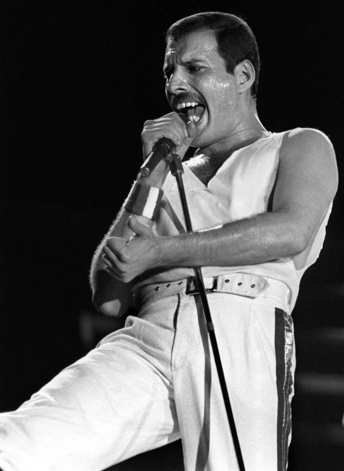 freddie mercury.jpg