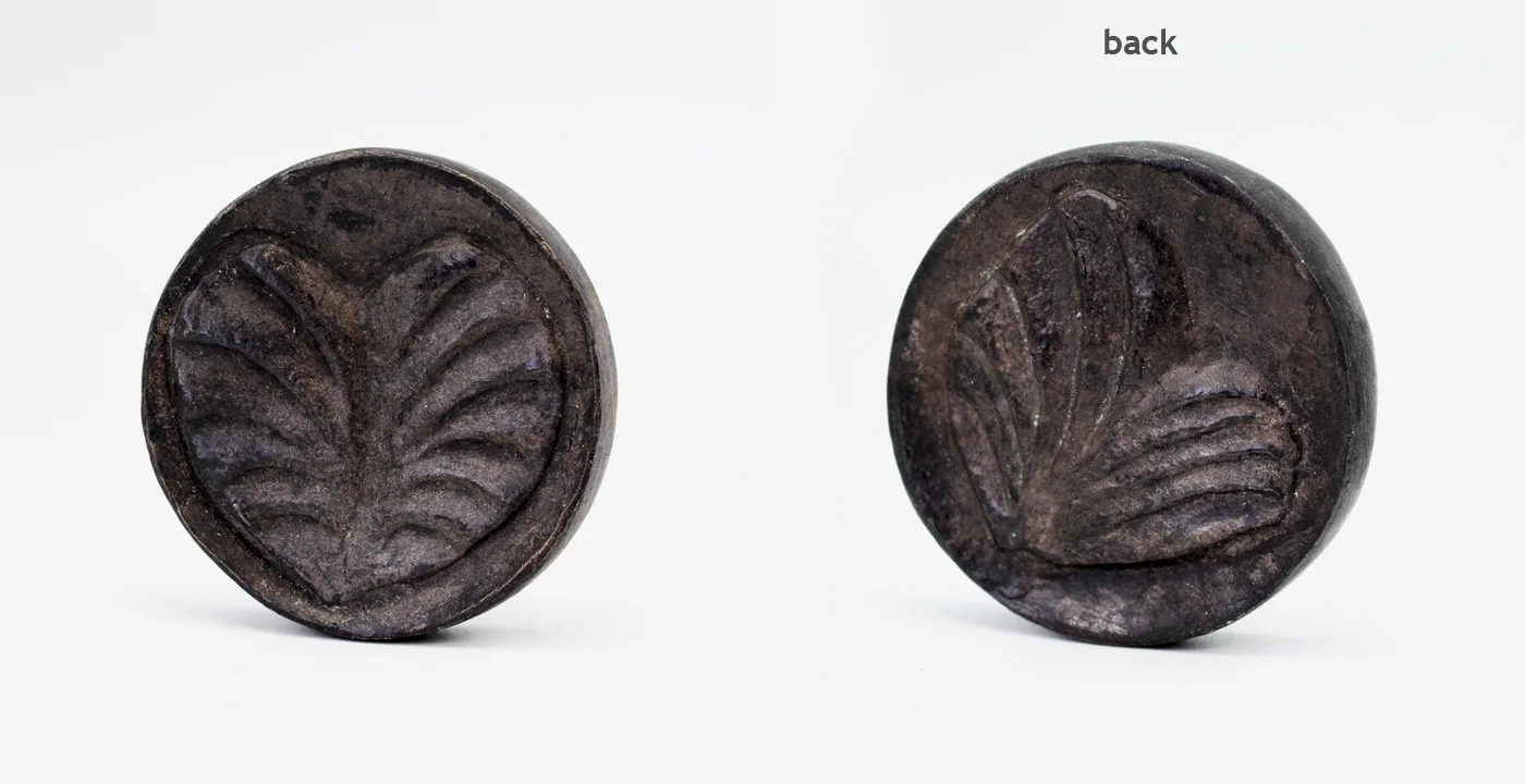 Botanical Medallion