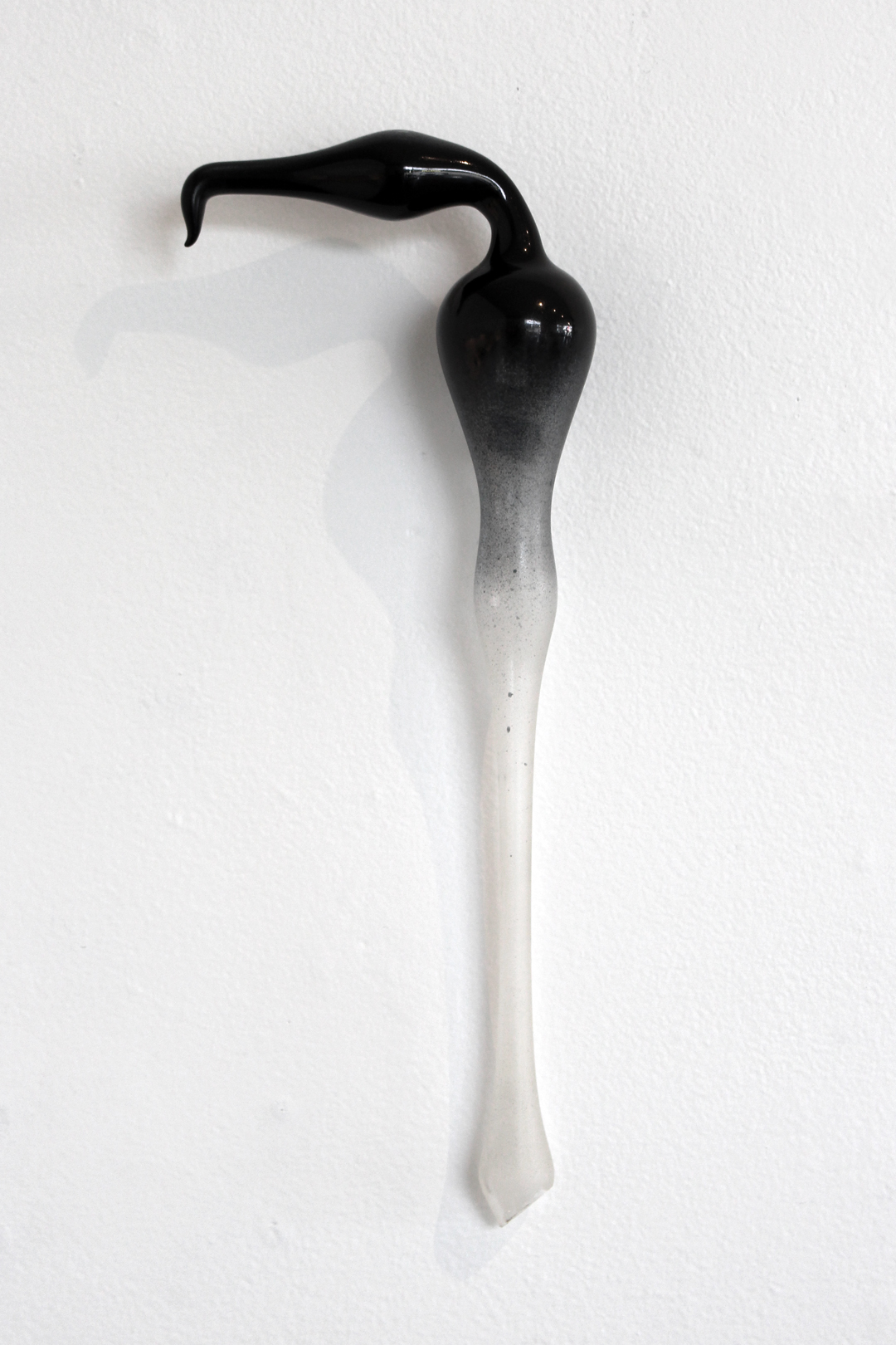 Black and Clear Bird
