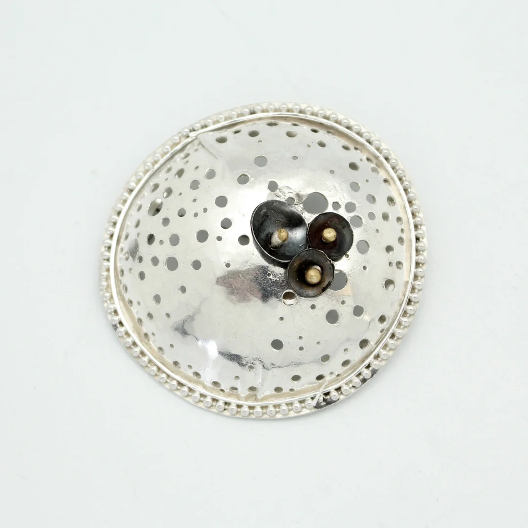 Diatom Hole Brooch