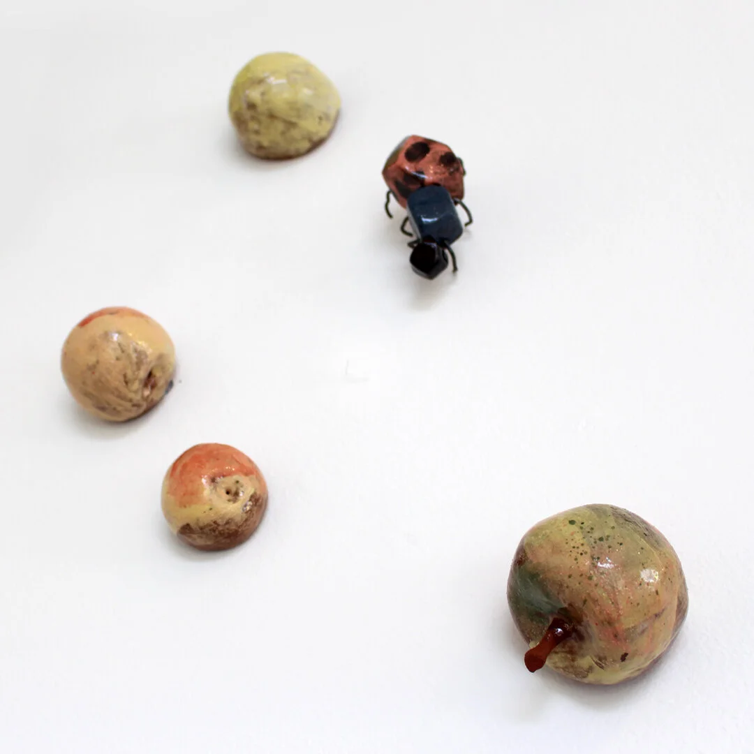 Greedy Bug (5-piece)