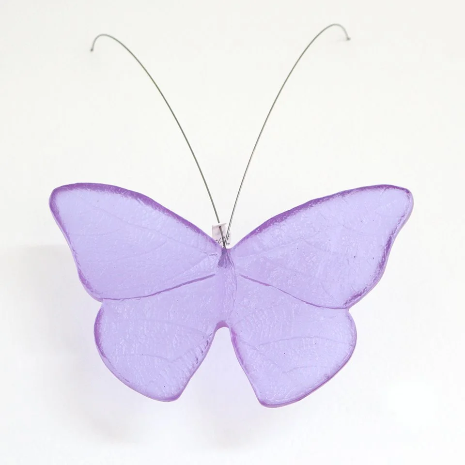 Hyacinth Butterfly