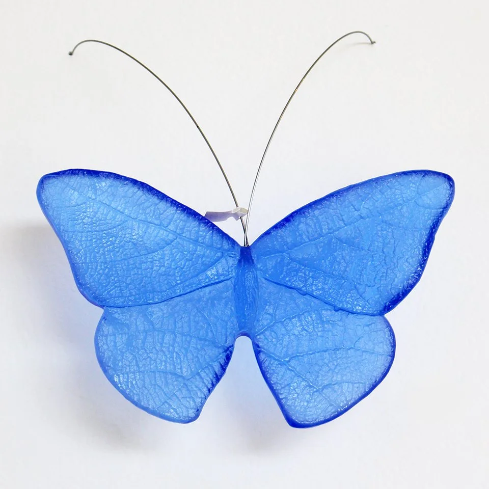 Cobalt Blue Butterfly