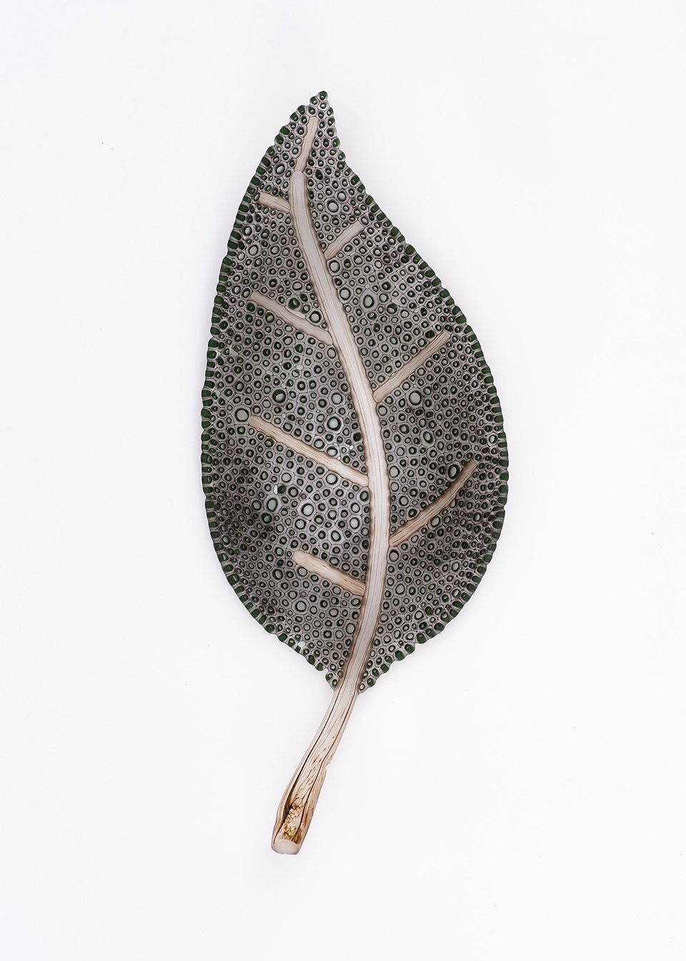 Dark Green Leaf