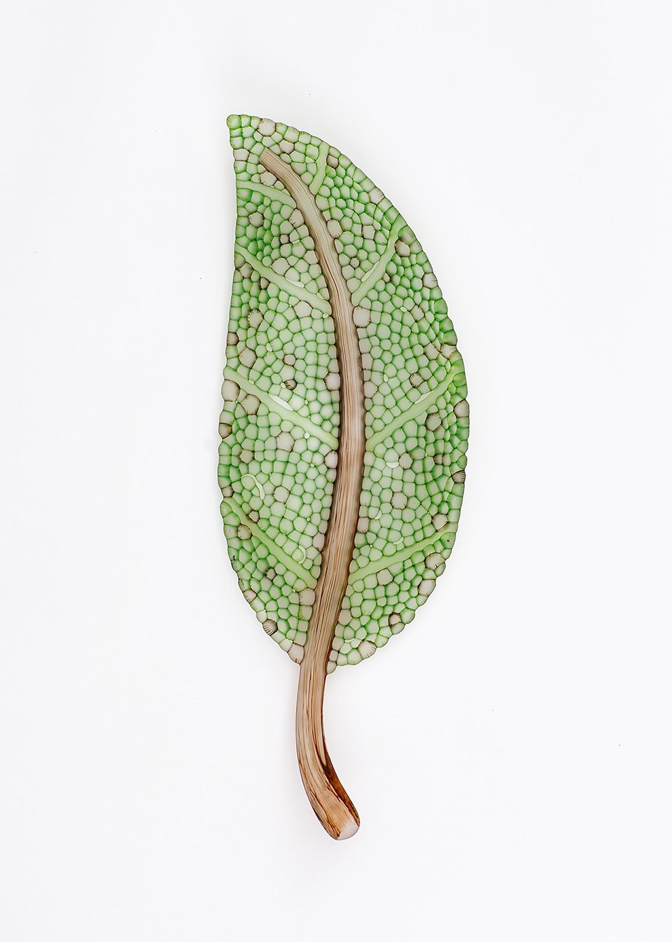 Green Leaf