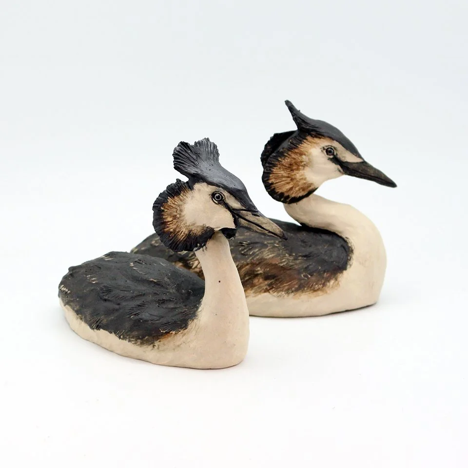 Grebe Pair