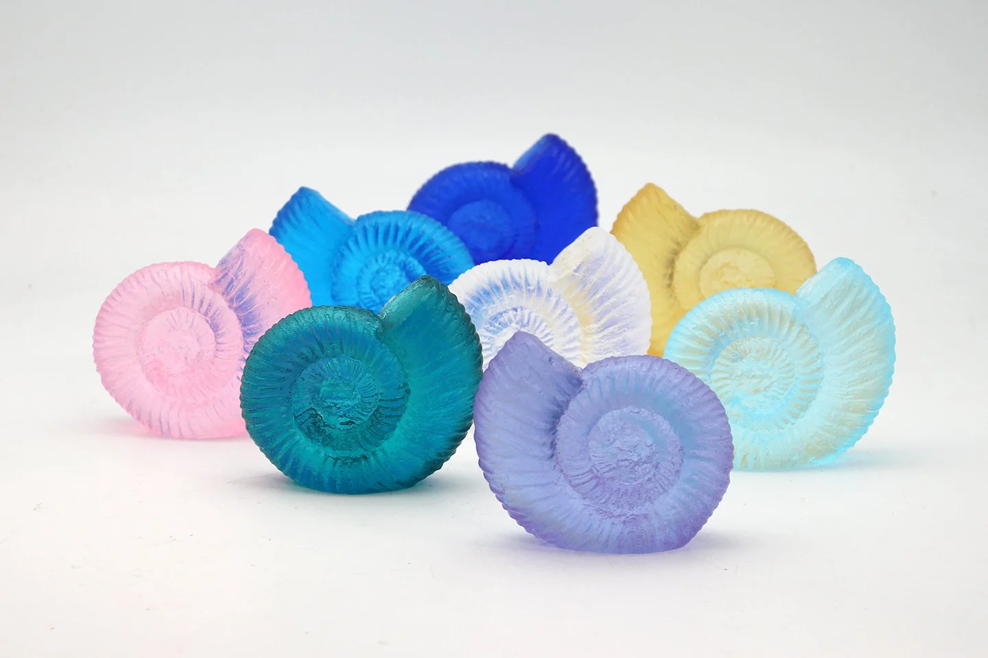 Ammonite