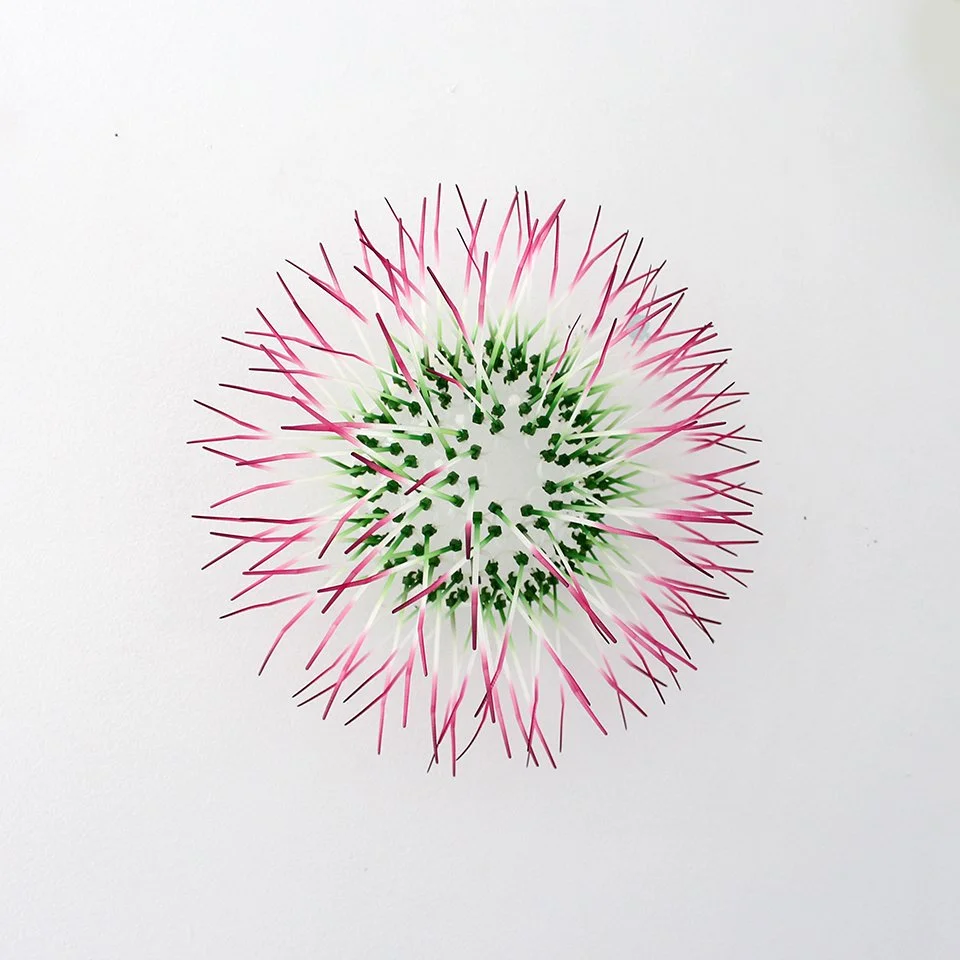 Green/Pink Mini Kina