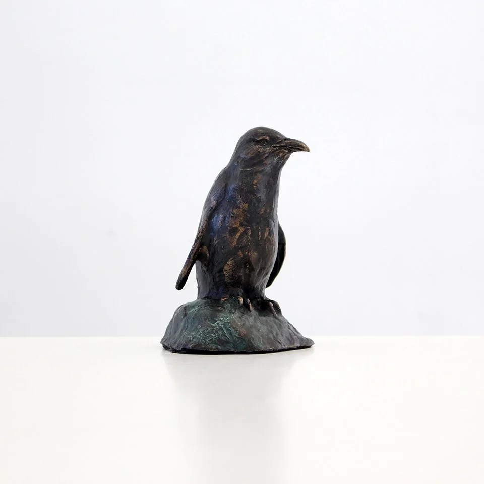 Blue Penguin