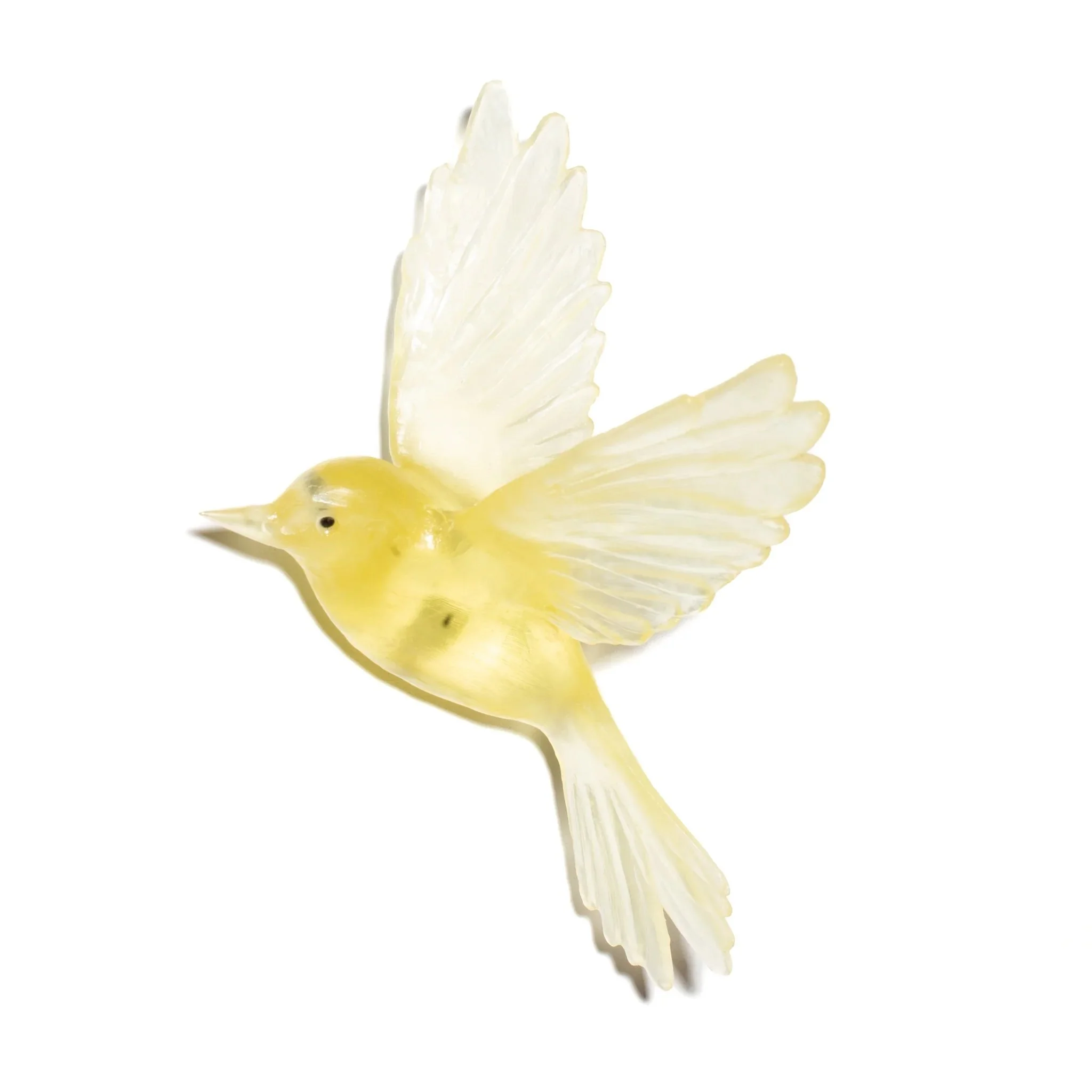 Fernbird