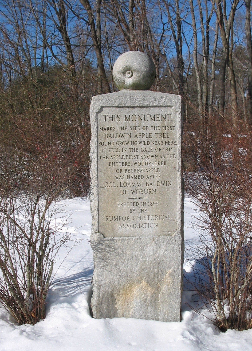 BaldwinMonument.3.jpg