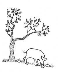 drawing by Toki Oshima