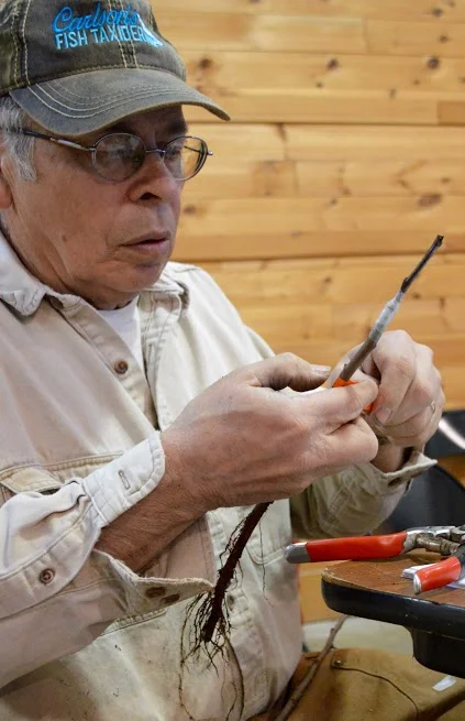 Delton Grafting (JEnglish photo).jpg