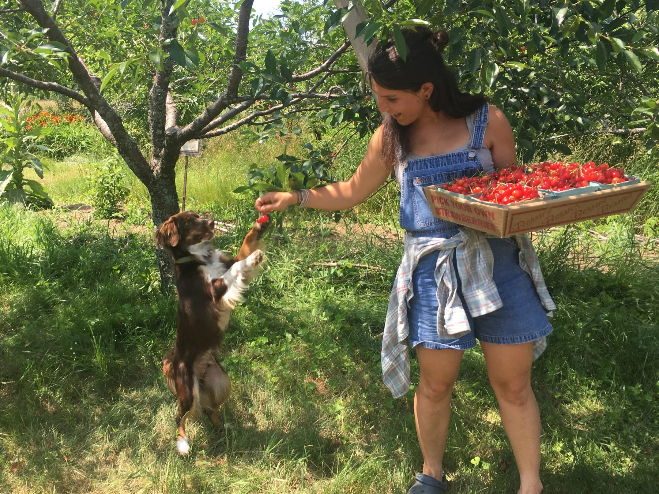 jordan levi cherries.jpg