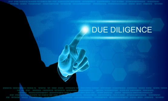 Due Diligence
