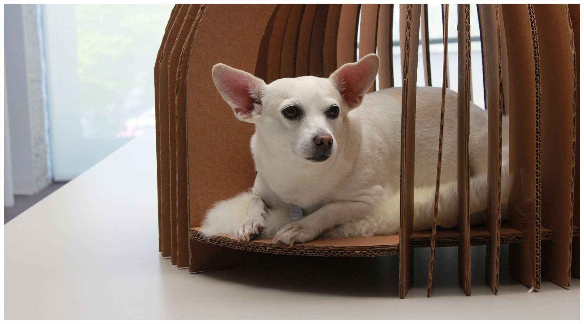 DogHouse-06.png