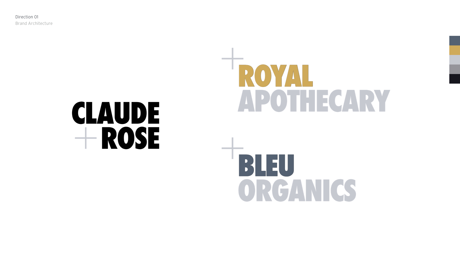 CR-100 Identity_1.0_portfolio.002.jpeg