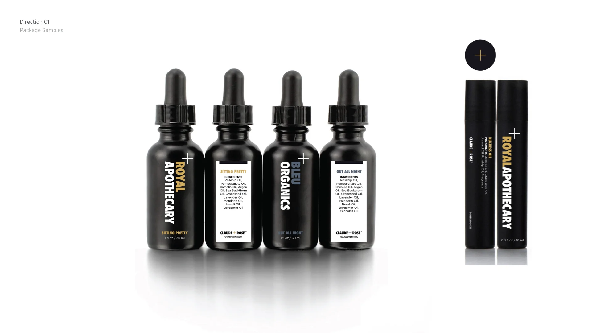 CR-100 Identity_1.0_portfolio.003.jpeg