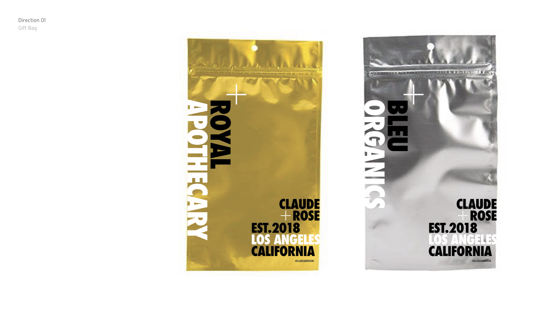 CR-100 Identity_1.0_portfolio.005.jpeg