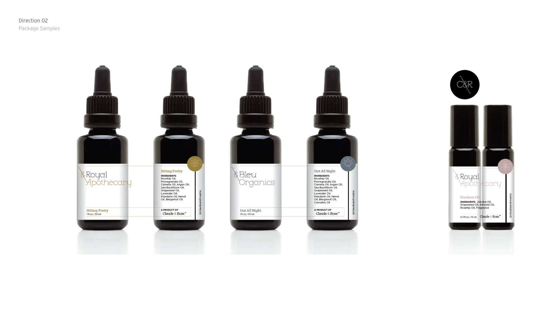 CR-100 Identity_1.0_portfolio.009.jpeg