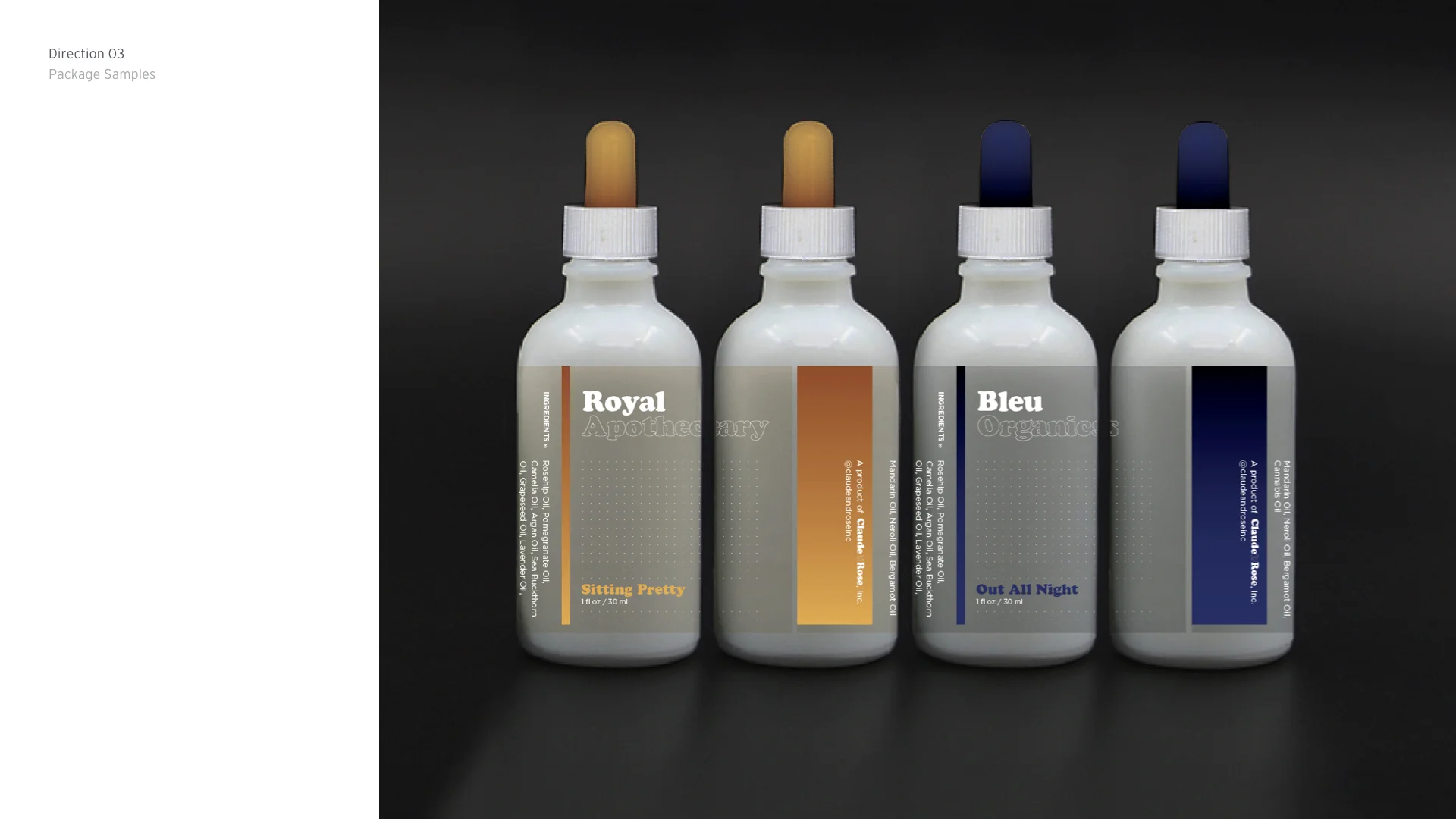 CR-100 Identity_1.0_portfolio.014.jpeg