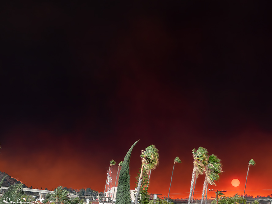 The Fires are Evidence that We Can’t Afford to Wait for Climate Action