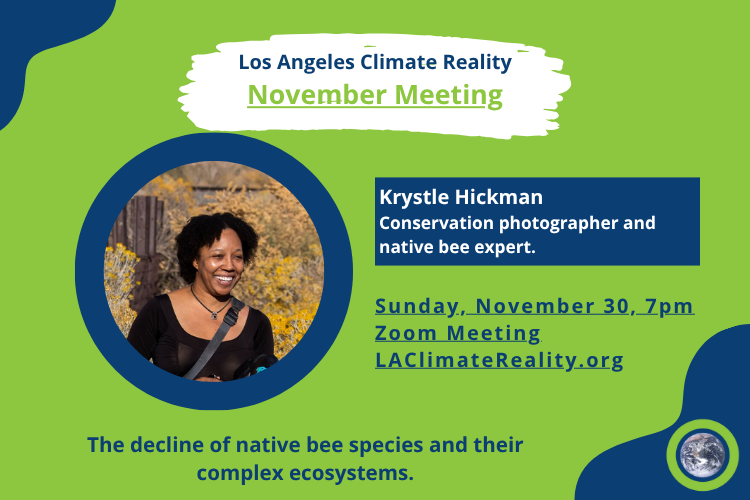 November Chapter Meeting: Krystle Hickman on Native Bees