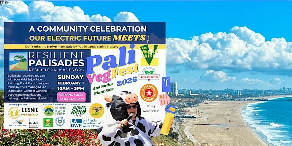 A Palisades Community Celebration - Our Electric Future