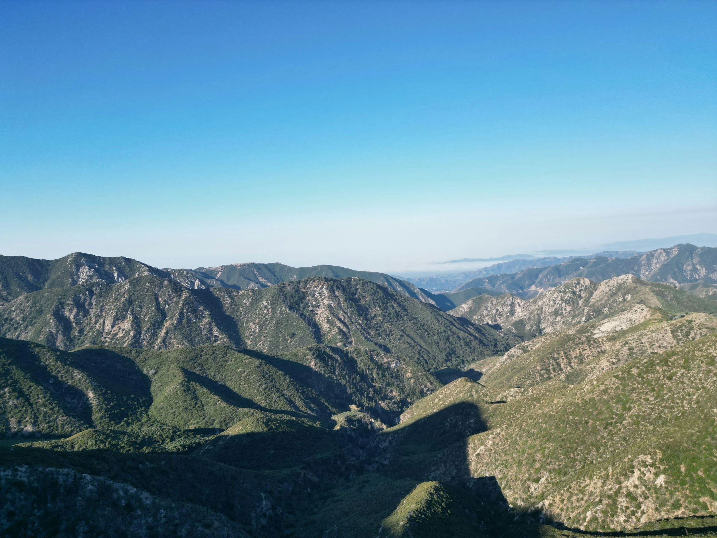 Rosemont Preserve Habitat Restoration
