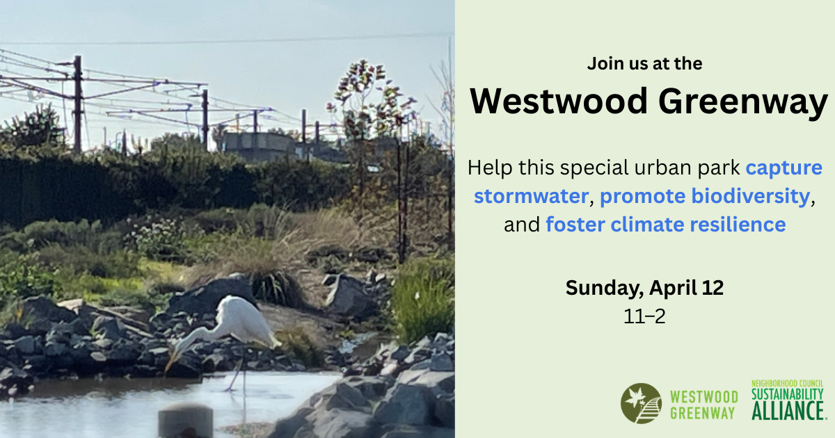 Westwood Greenway Tour