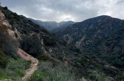 Rubio Canyon Preserve Habitat Restoration &amp; Trail Maintenance