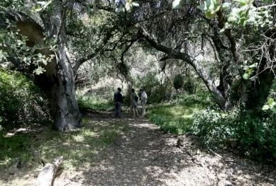 Cottonwood Canyon Habitat Restoration