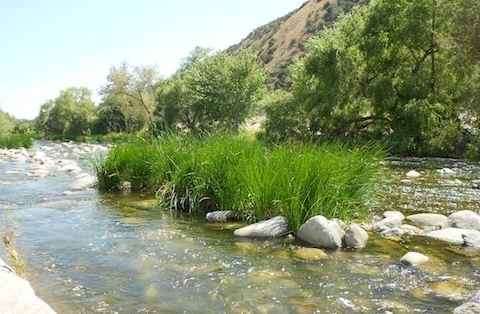 July C2C + RAFT Field Day: North Atwater Park