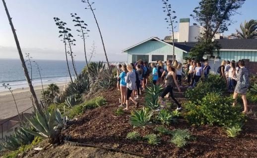 Esplanade Bluff Restoration