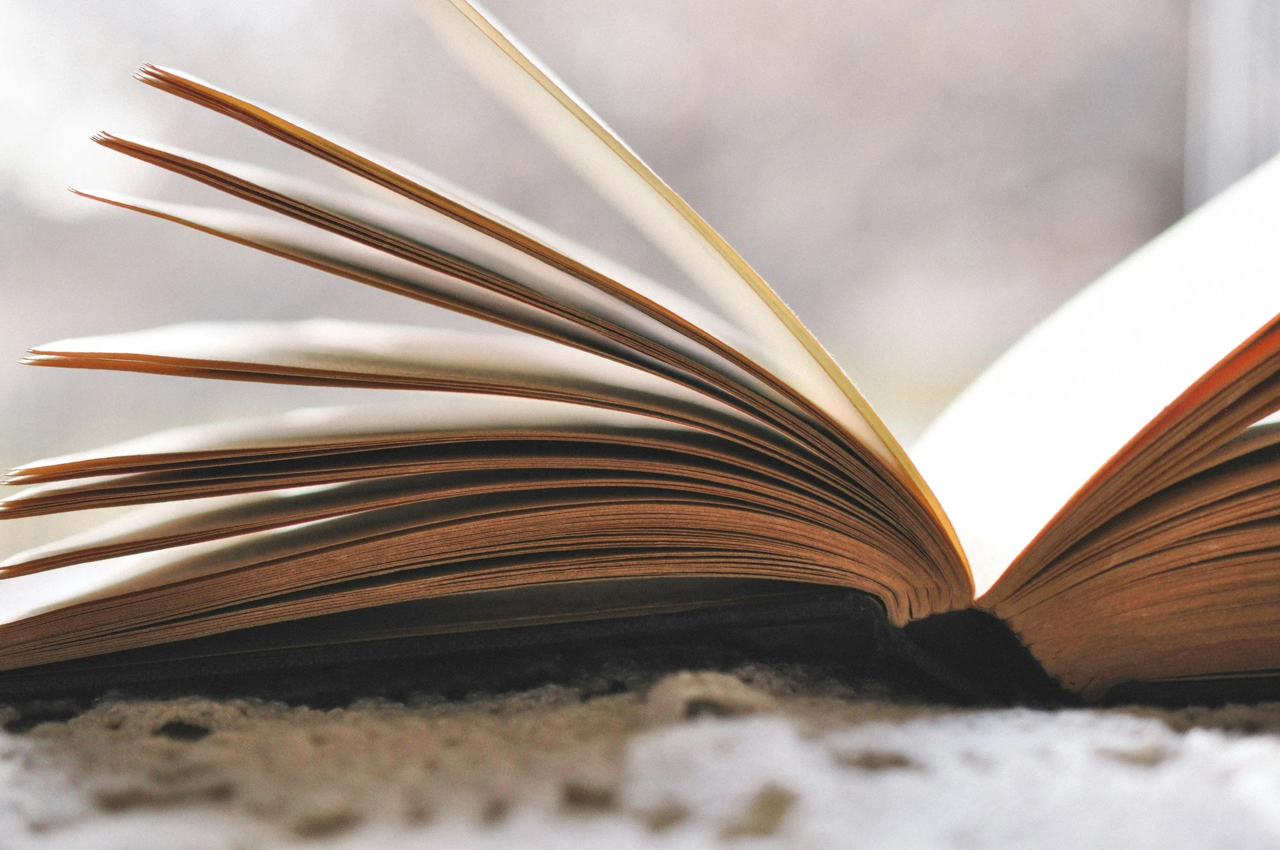Book Club | San Fernando Valley Climate Reality
