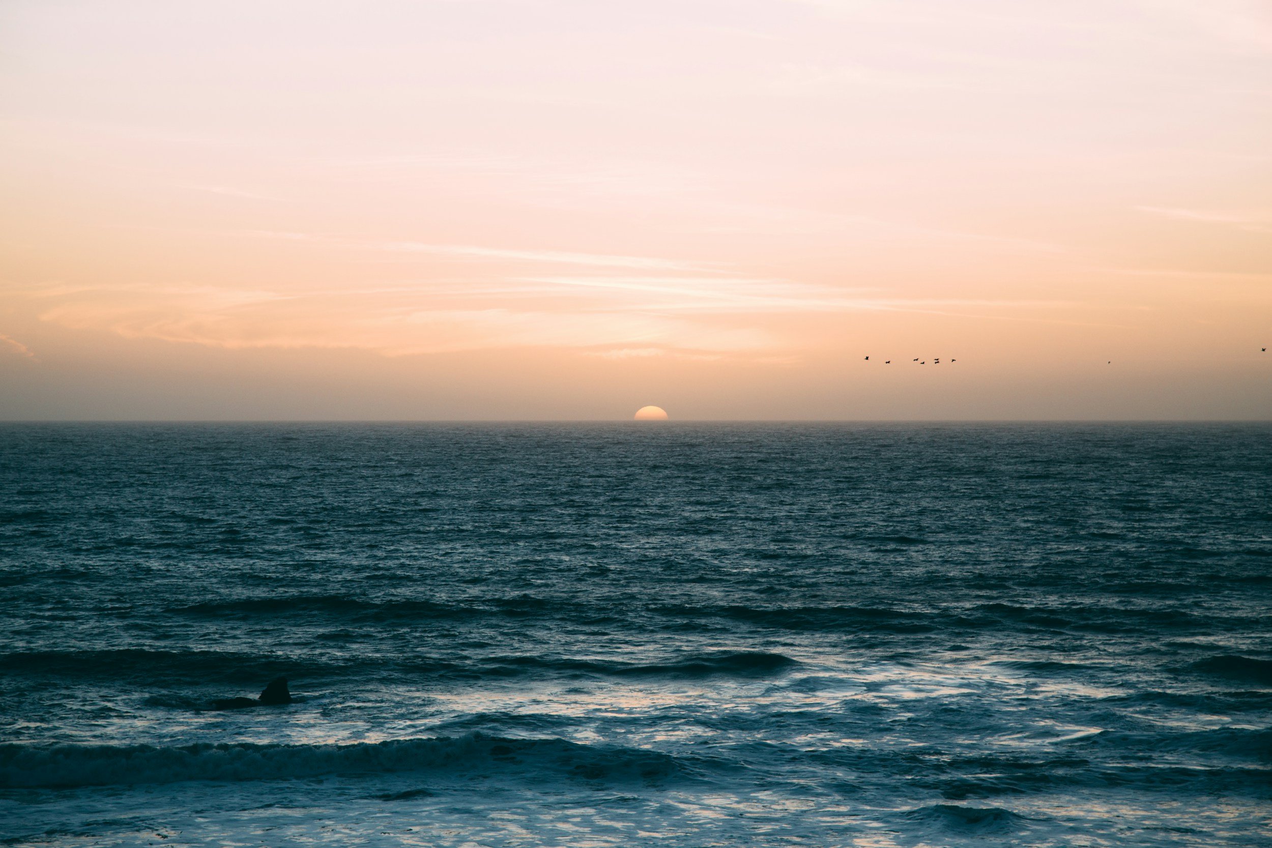 Your Coast. Your Voice: Celebrating 50 Years of Coastal Protection!