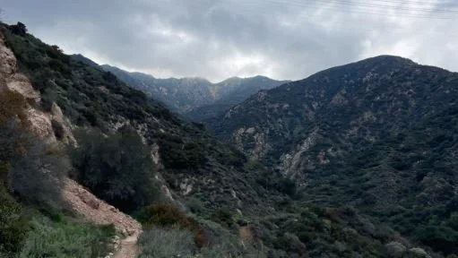 Rubio Canyon BioBlitz