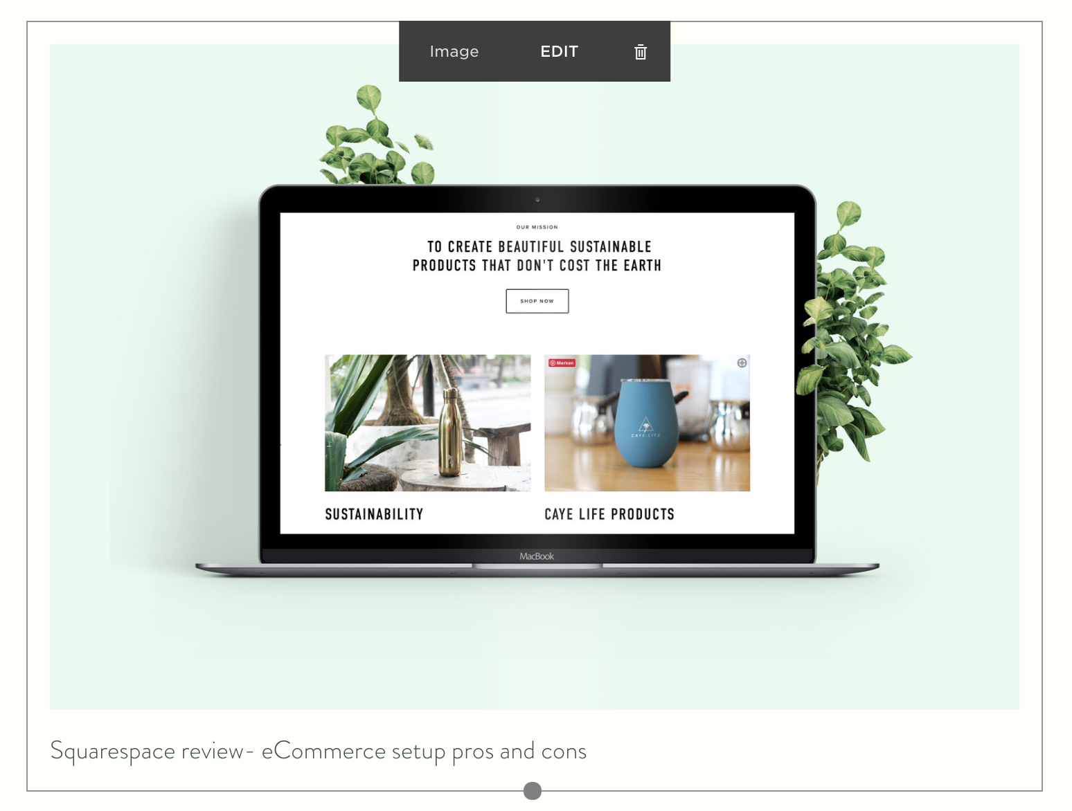 How to create alt text for a Squarespace website