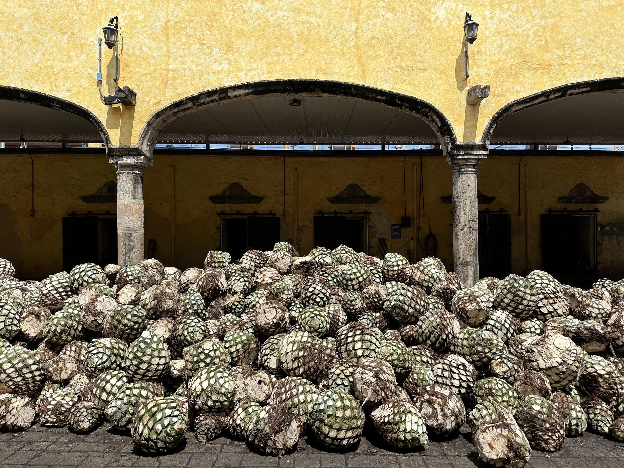 The Complete Guide to Jose Cuervo Tequila - Shaping the Past & Future of Tequila