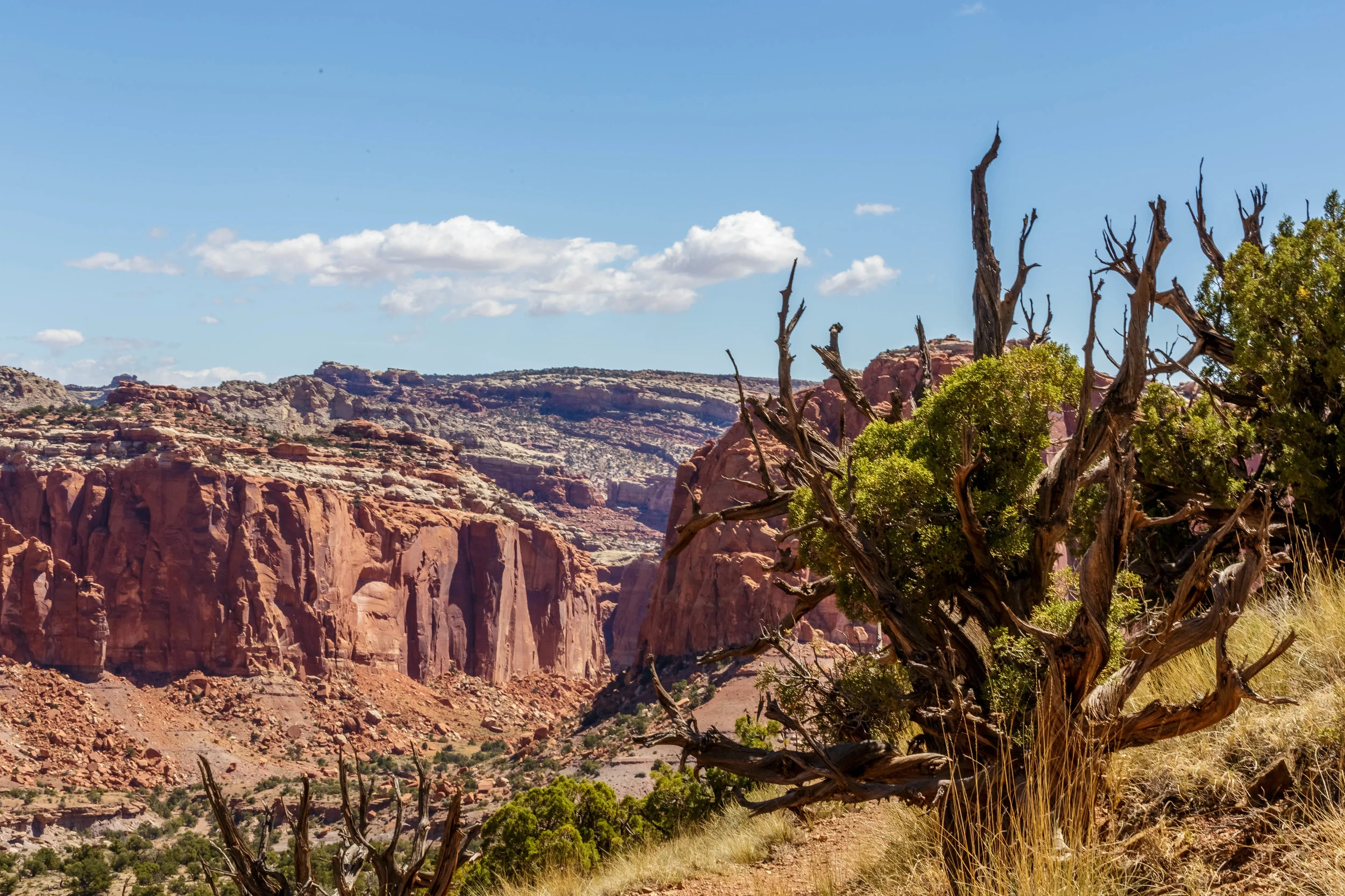 Capital Reef National Park, Utah