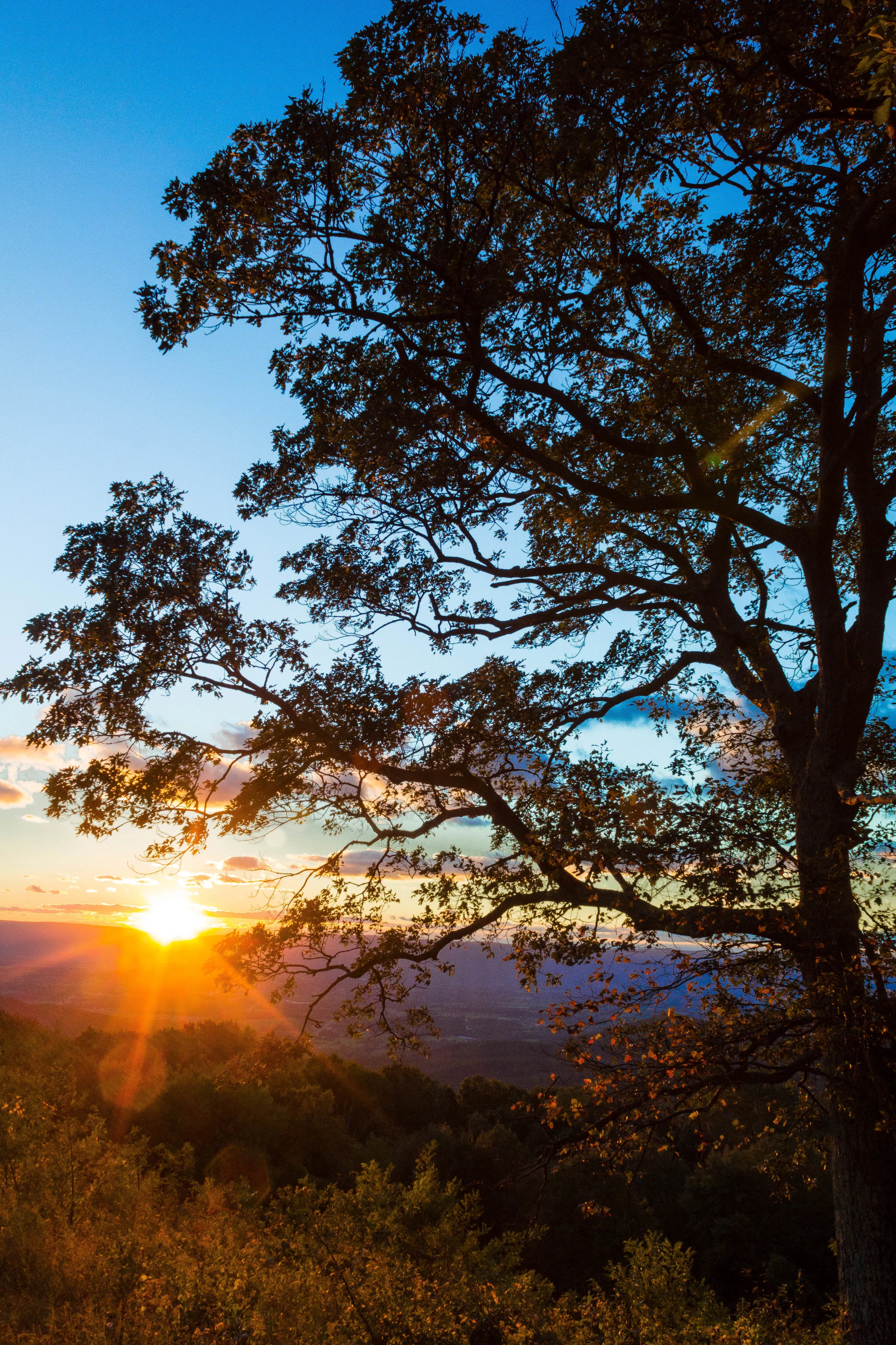 Shenandoah National Park, Virginia