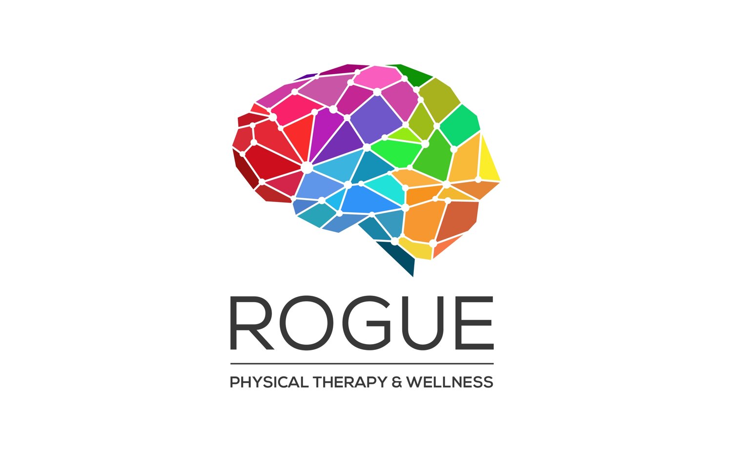 Rogue Physical Therapy & Wellness