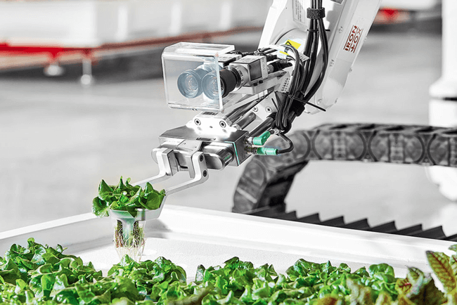 Agtech-Iron-Ox.png