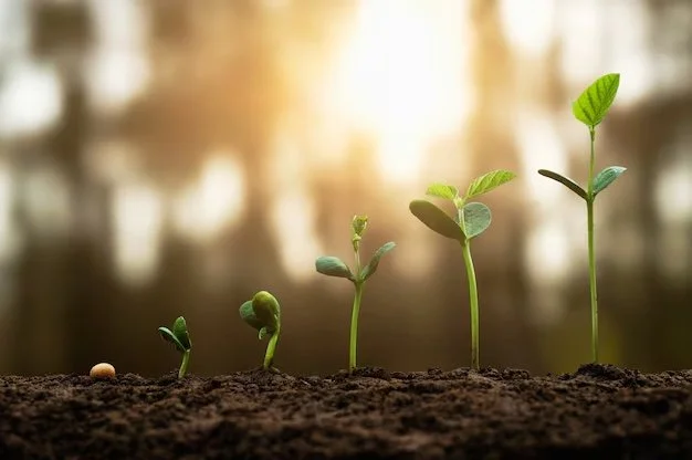 How to Build Experience Without an Internship