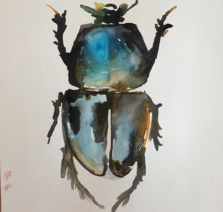 Buggo/watercolor