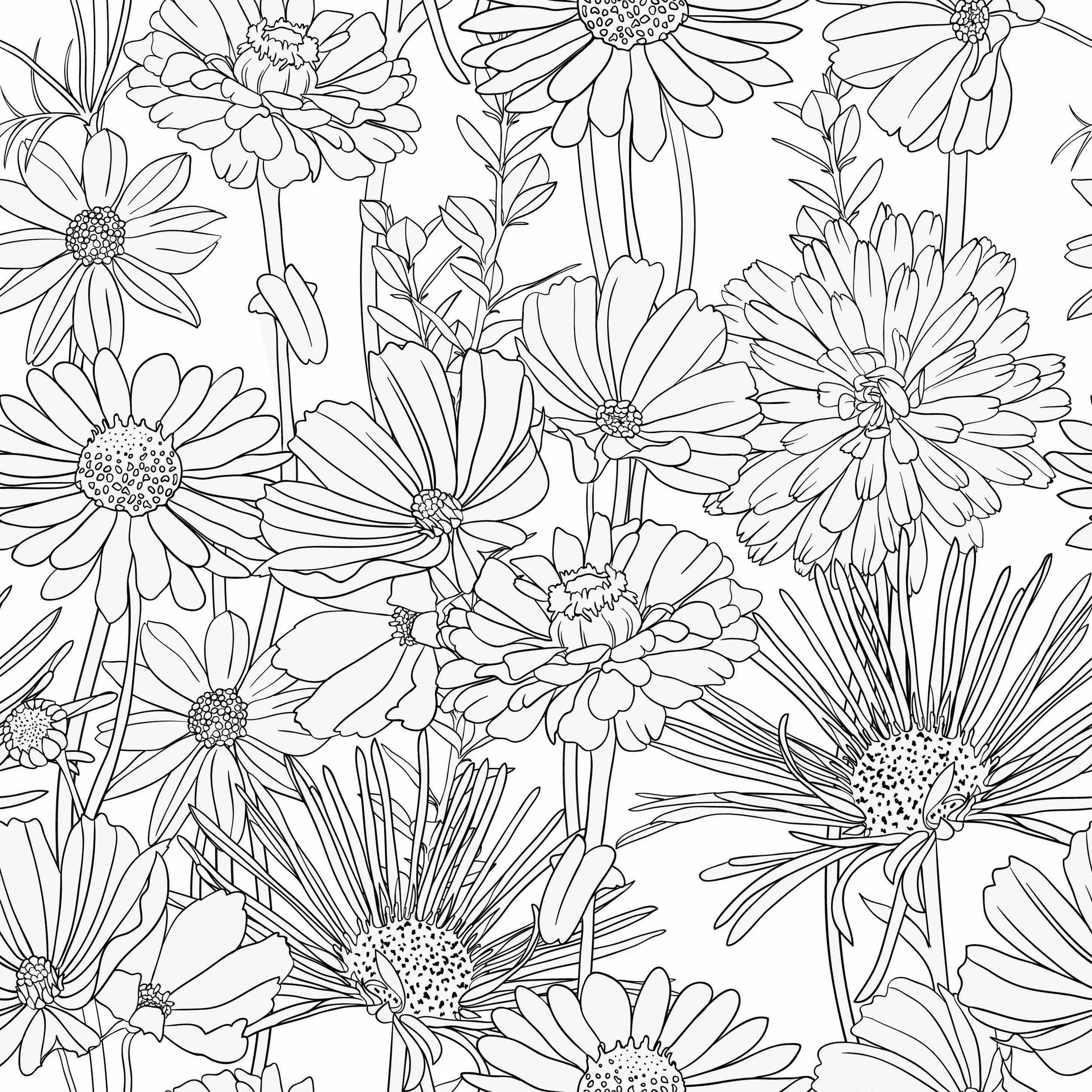 flower-drawing-transparent-background-19.jpg